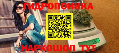 эйфоретик Ставрополь