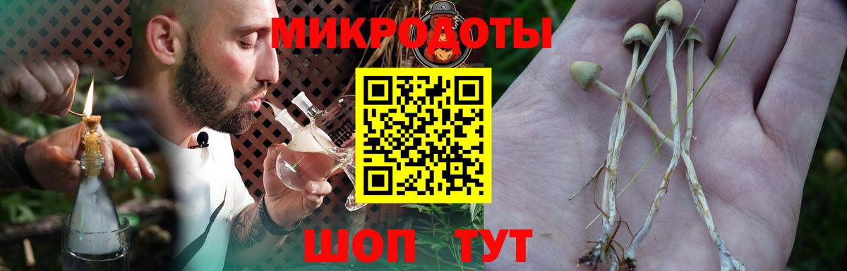 Белореченск  Псилоцибиновые грибы Magic Shrooms  где купить   Вход с VPN 