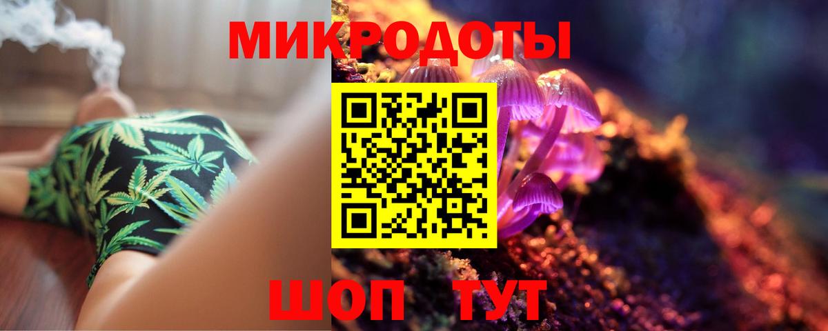 Псилоцибиновые грибы Cubensis Белореченск